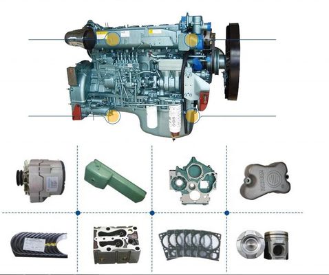 Shaanxi Shacman Truck Spare Parts Fast Gearbox Transmission Drive Gear 18869 oryginalna fabryka